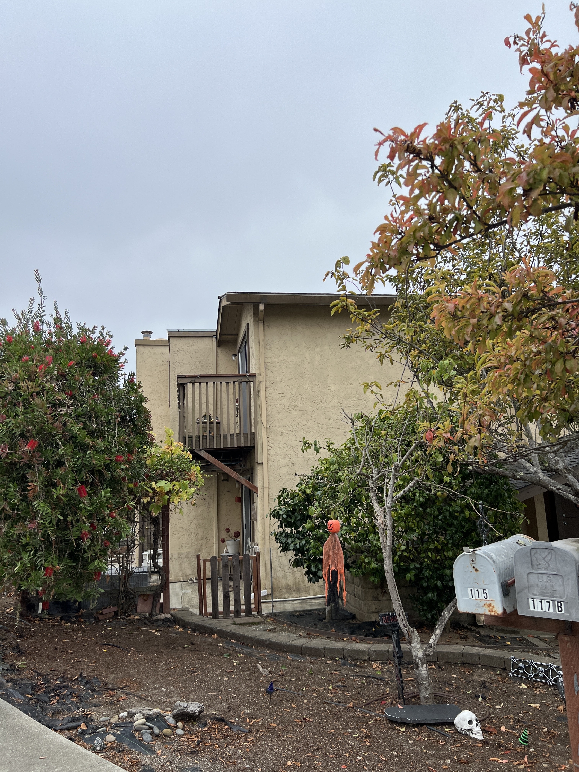 115 Tiburon Ct.